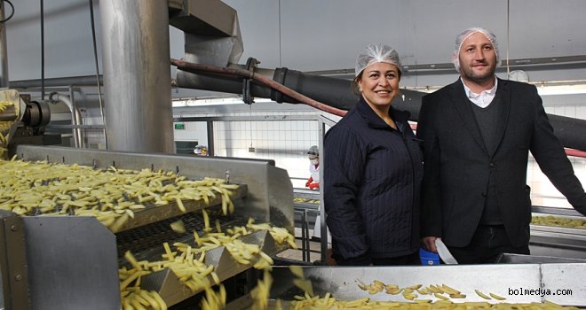 Bolu, “Golden Tarımsal Üretim Pazarlama A.Ş.” Günlük 100 Ton Patates İşliyor