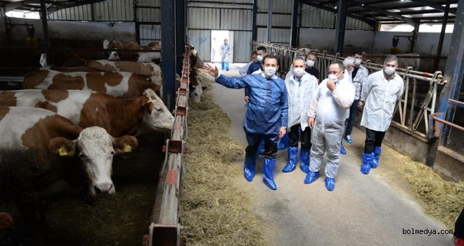 Bolu Valisi Ahmet Ümit Süt Çiftliği Üretim Tesisini Ziyaret Etti