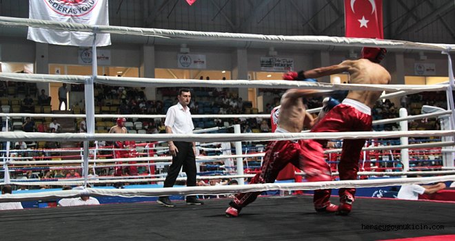 Kick Boks Türkiye Şampiyonası Bolu’da Devam Ediyor