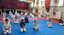 Ücretsiz Karate Yaz Okulu Başlıyor